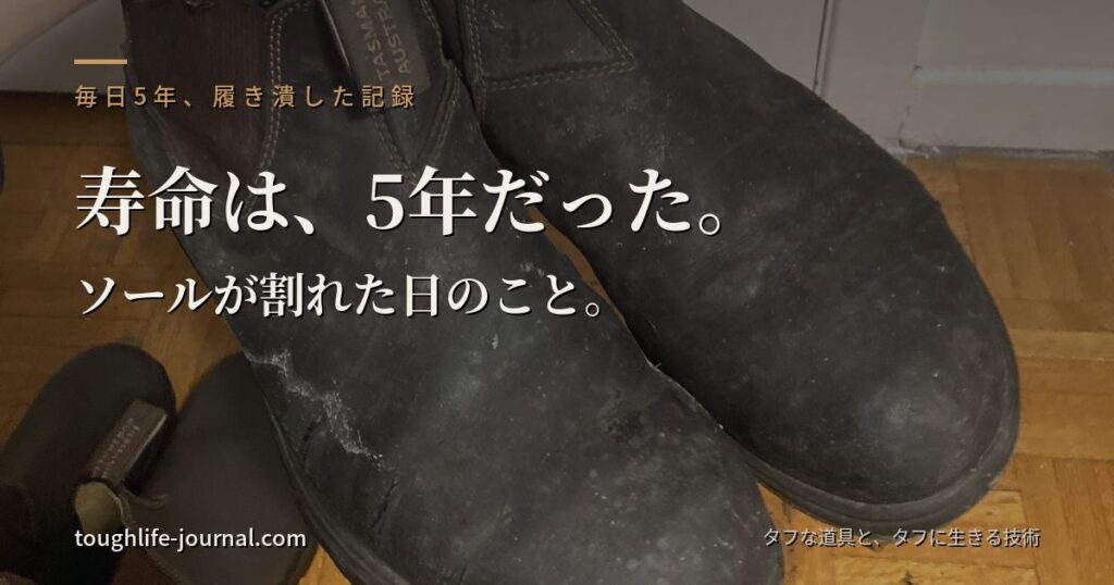 毎日5年履き潰してレザーが傷んだ初代ブランドストーン550を手に持った写真