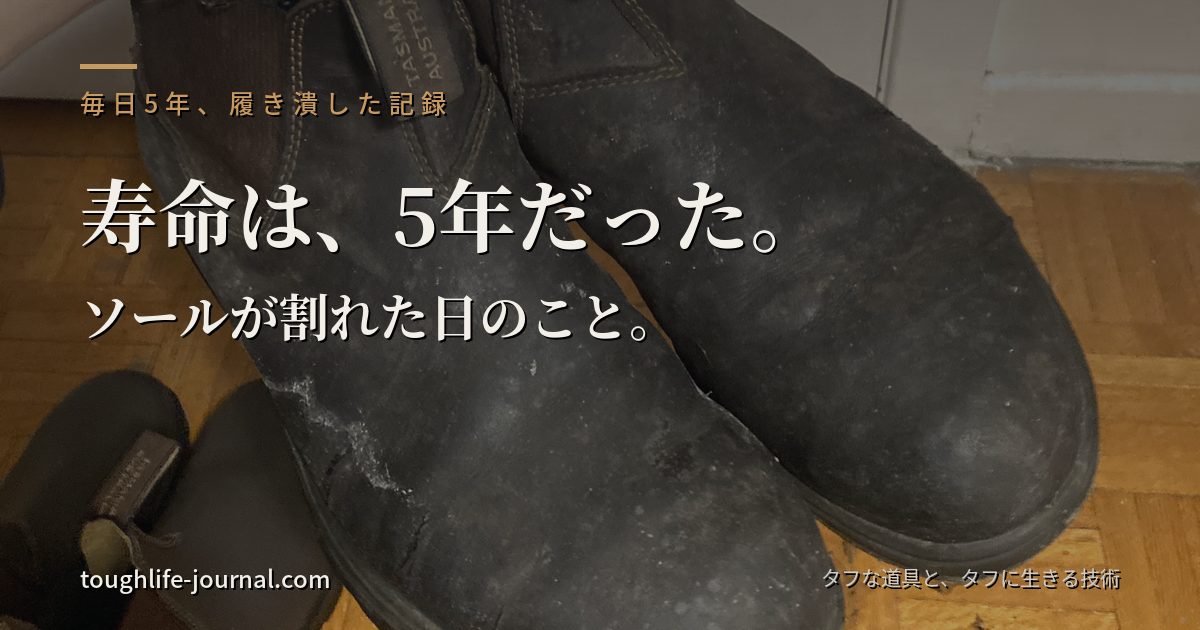 毎日5年履き潰してレザーが傷んだ初代ブランドストーン550を手に持った写真